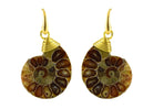 Miccy's | Fossil Glory | Ammonite   Shell Earrings