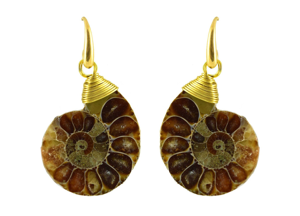 Miccy's | Fossil Glory | Ammonite   Shell Earrings