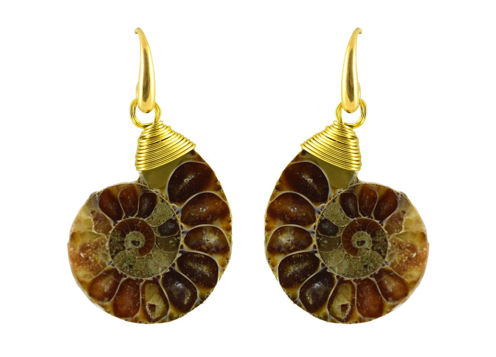 Fossil Glory | Ammonite   Shell Earrings